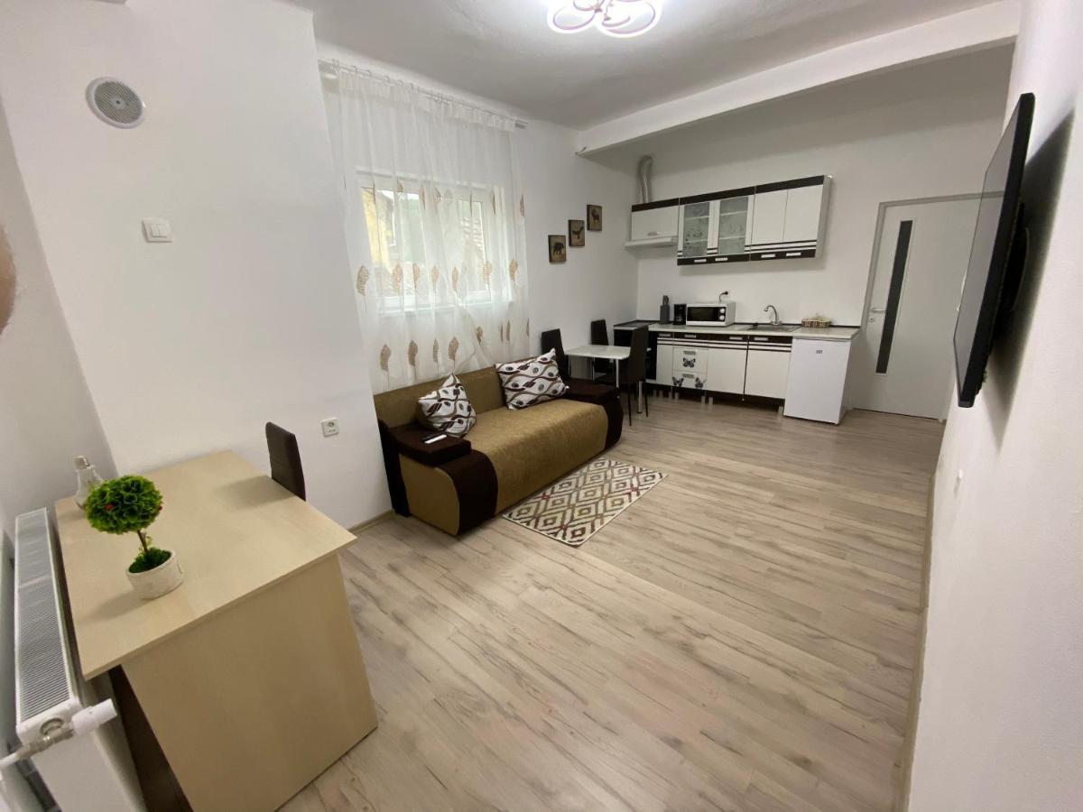 Centralhome Ap1 Sighişoara Buitenkant foto